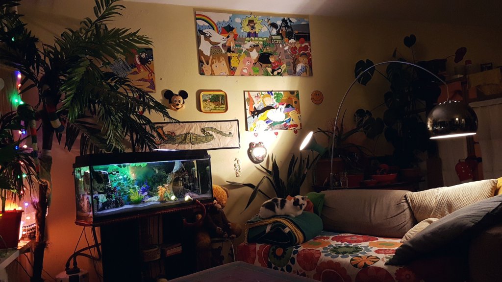 Boktorren schilderij