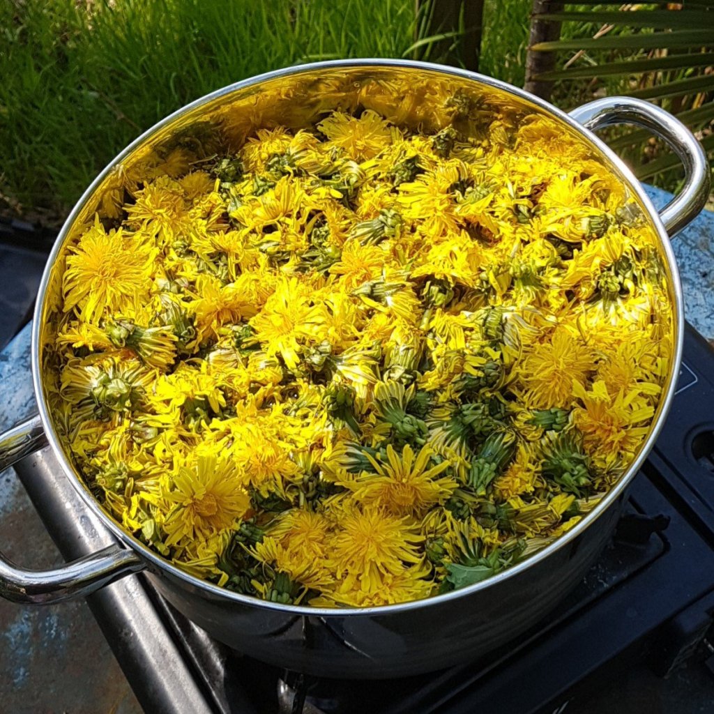 Leonies Paradijstuin 