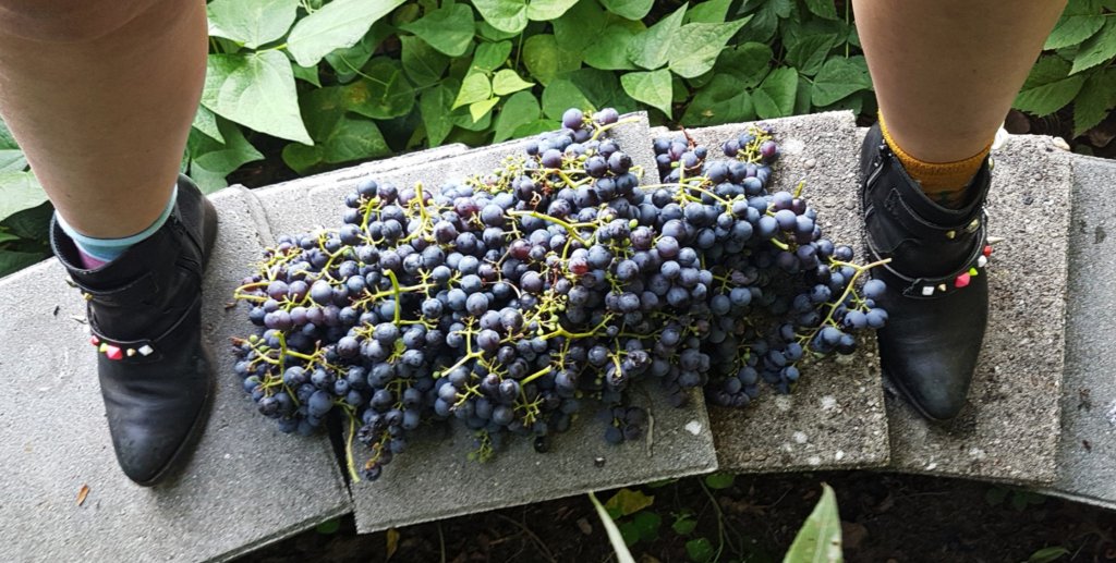 Leonies paradijstuin 