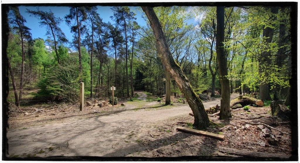 Veluwezoom bij Dieren