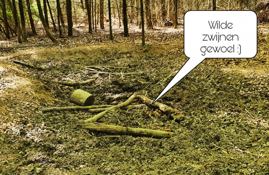 Veluwezoom bij Dieren