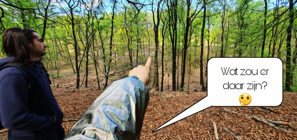 Veluwezoom bij Dieren