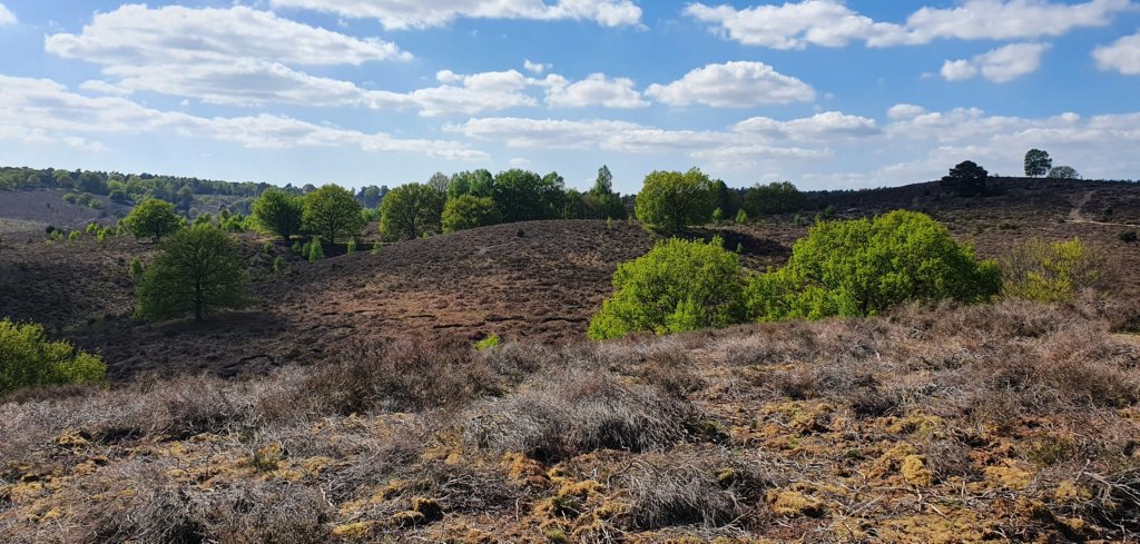 Veluwezoom bij Dieren