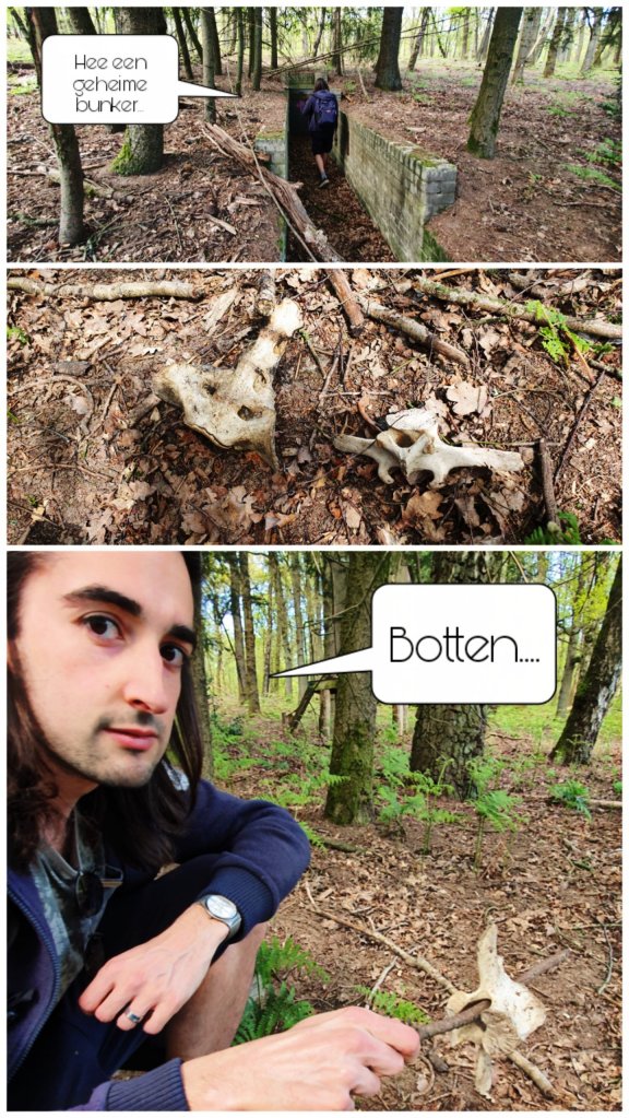 Veluwezoom bij Dieren