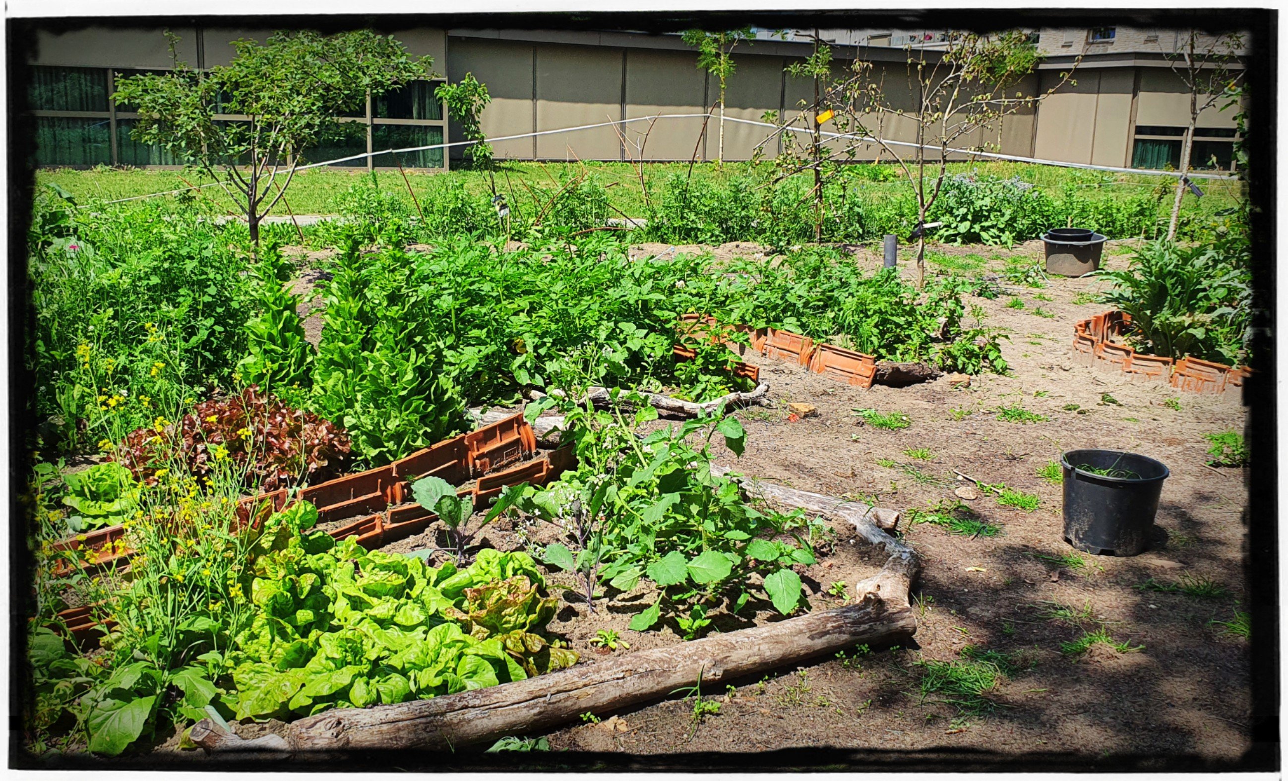 Leonies Paradijstuin