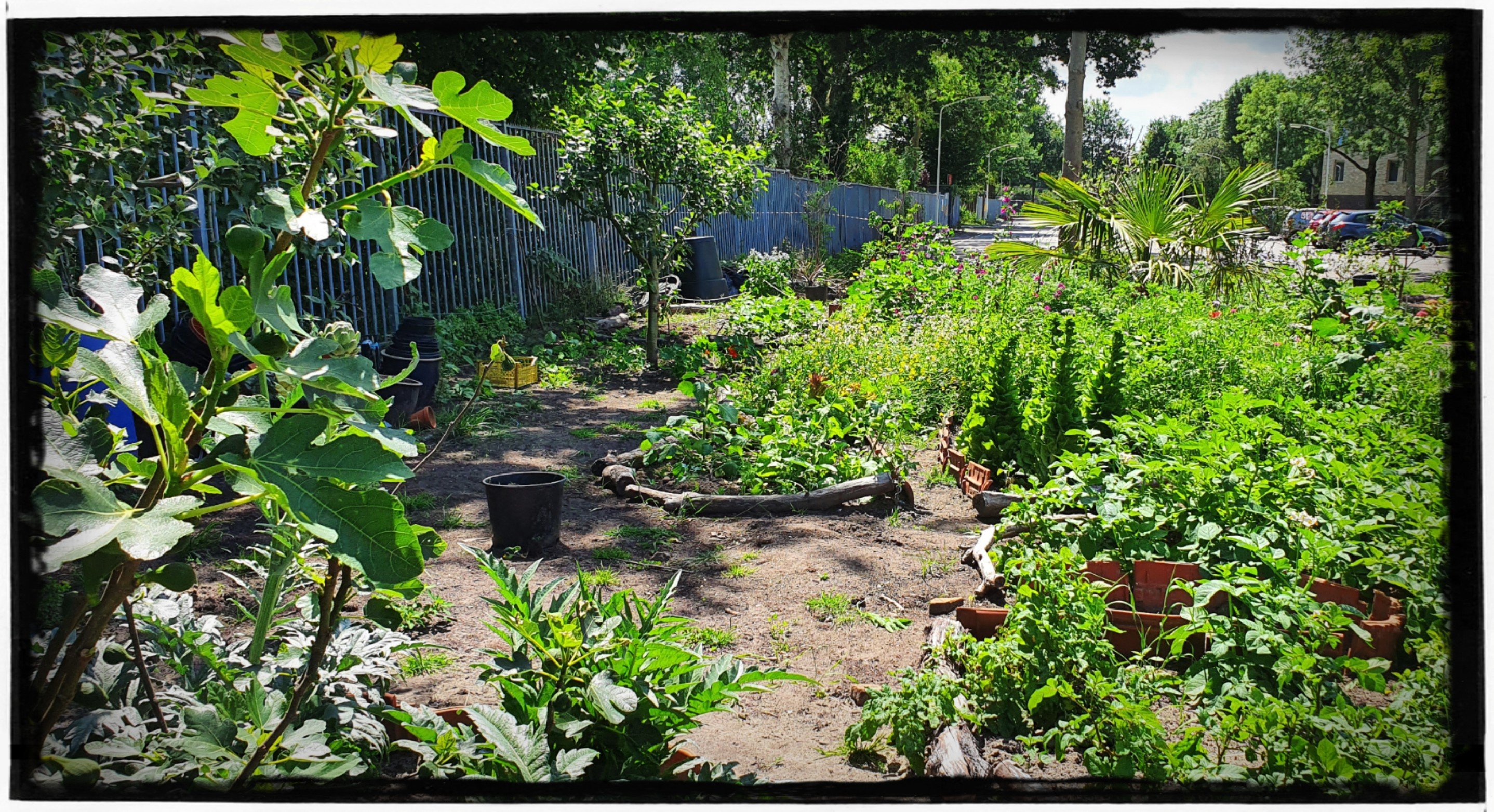 Leonies Paradijstuin