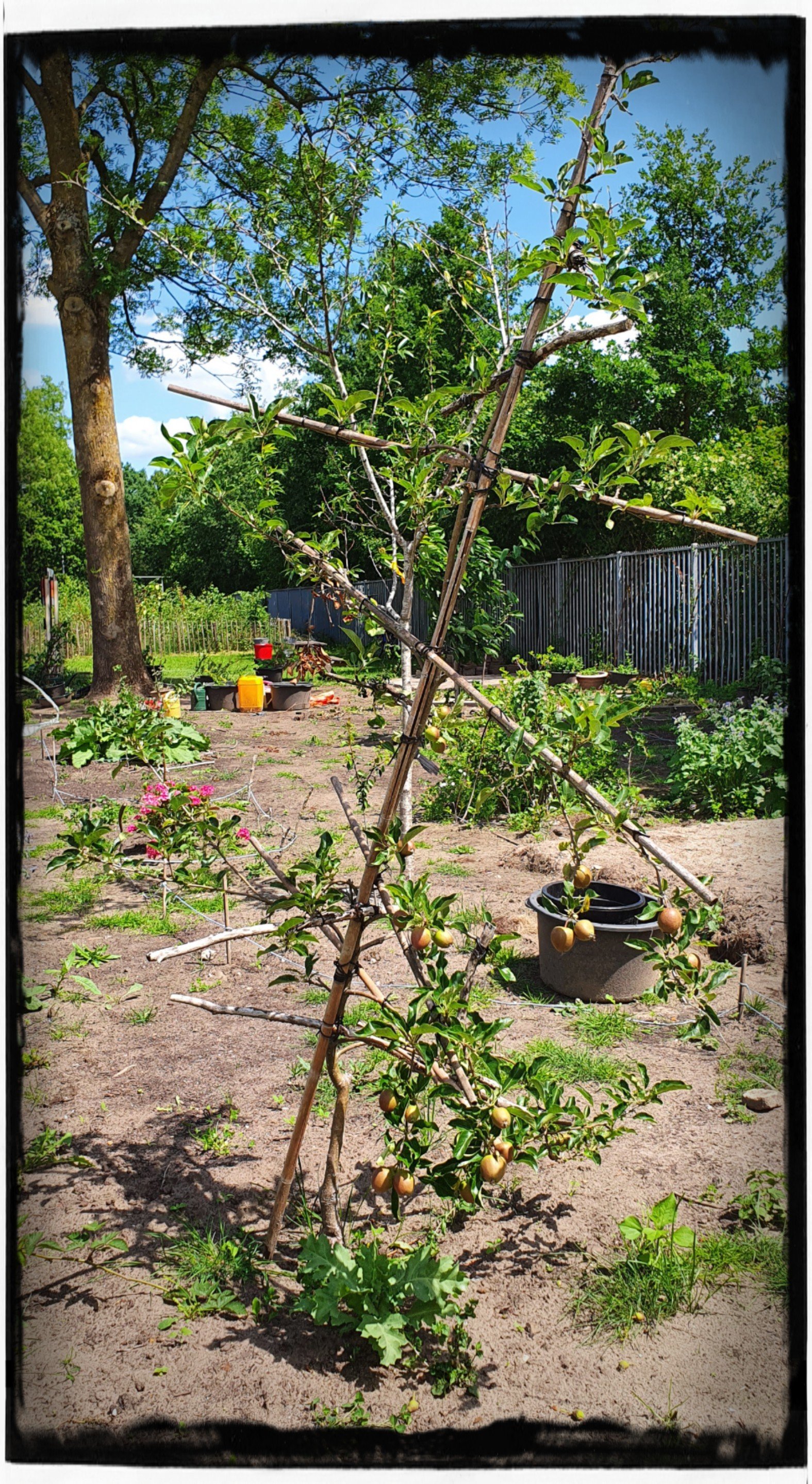 Leonies Paradijstuin