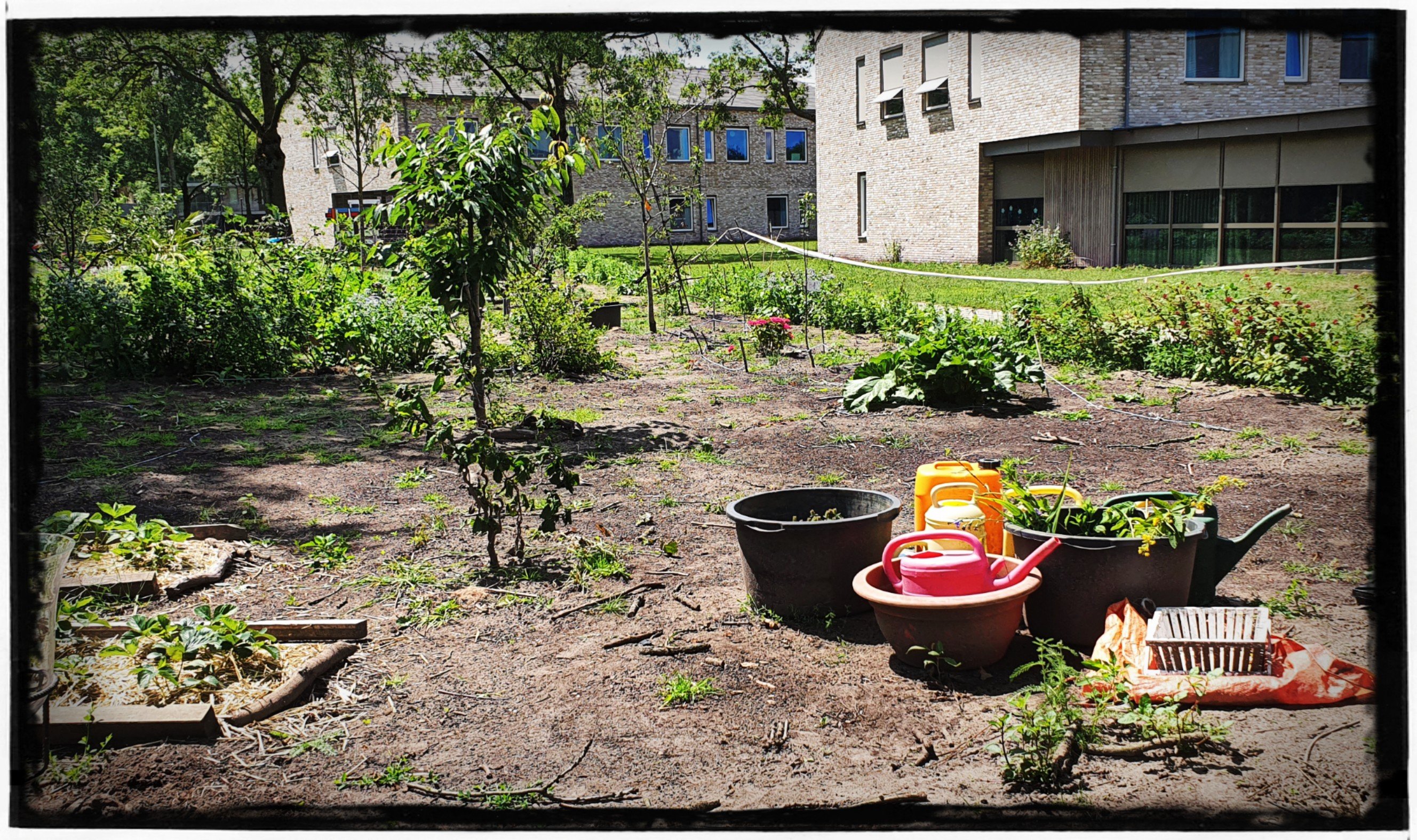 Leonies Paradijstuin