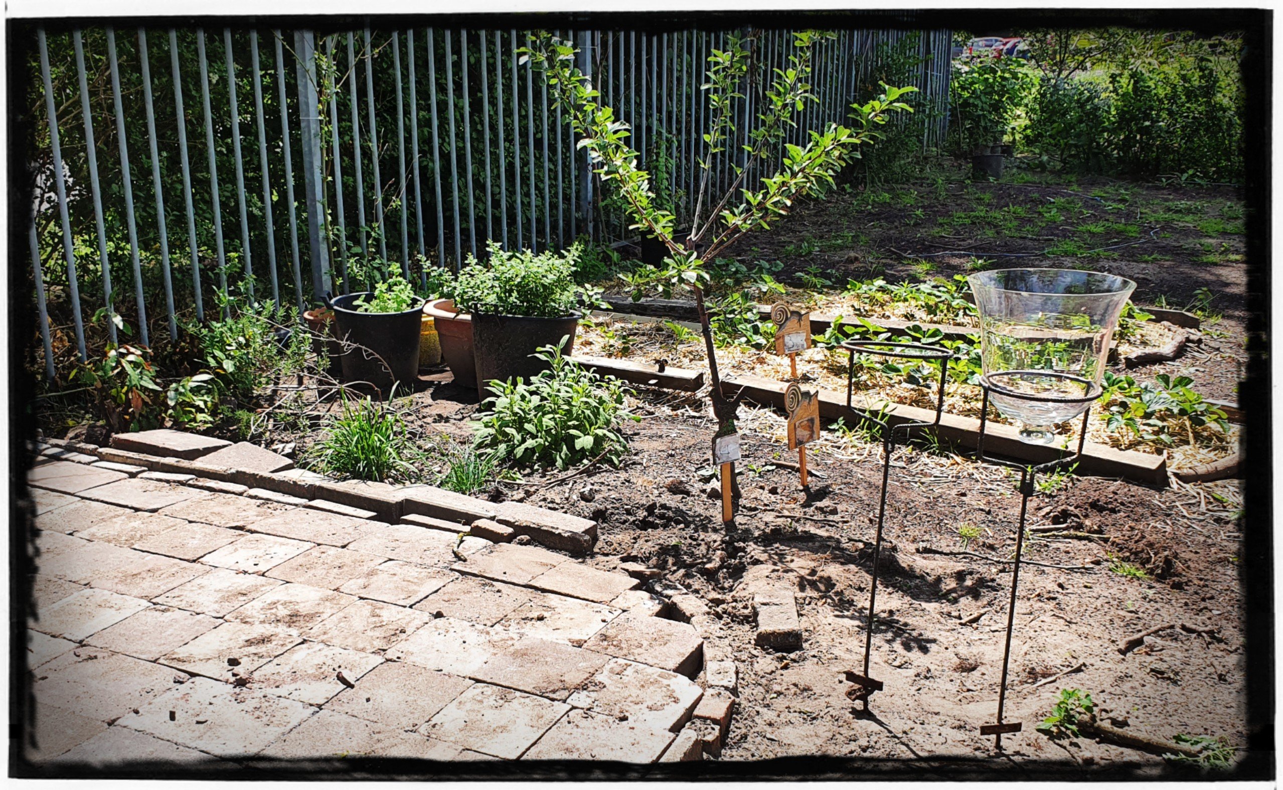 Leonies Paradijstuin