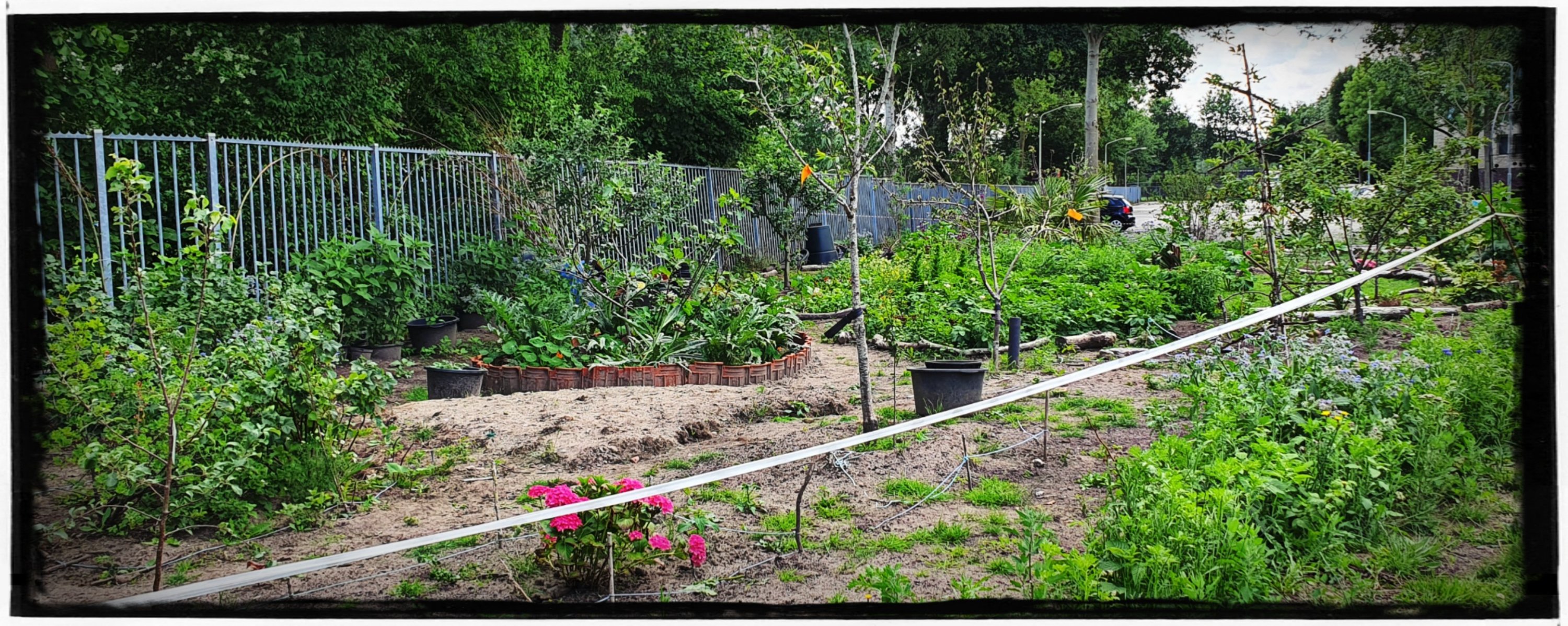 Leonies Paradijstuin