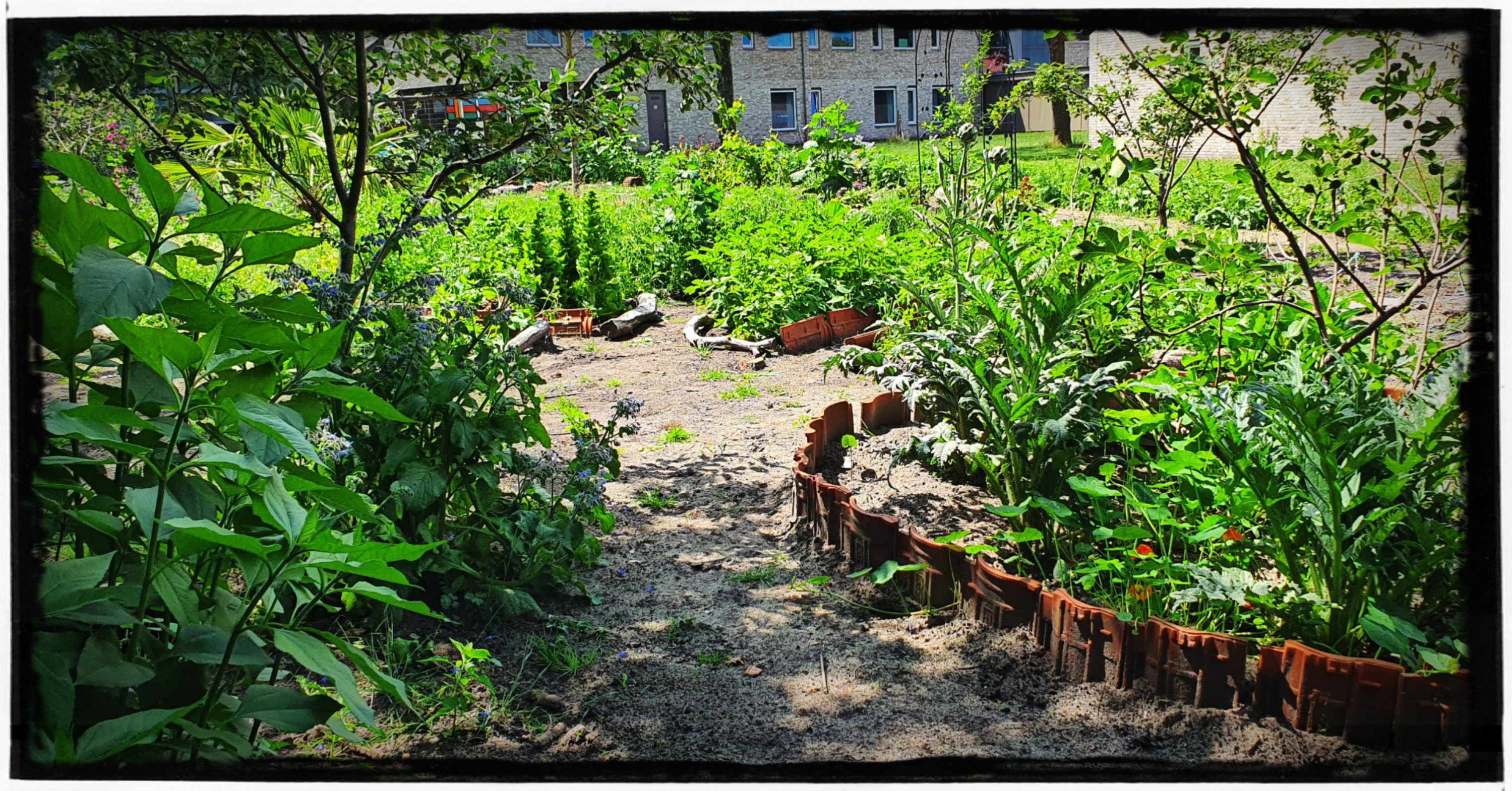 Leonies Paradijstuin
