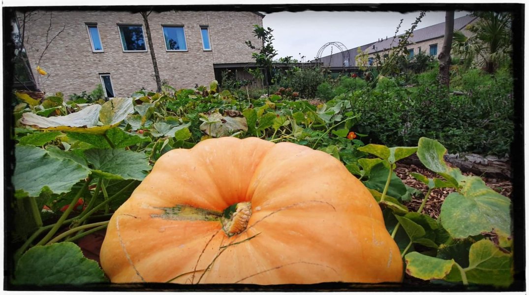 Leonies Paradijstuin