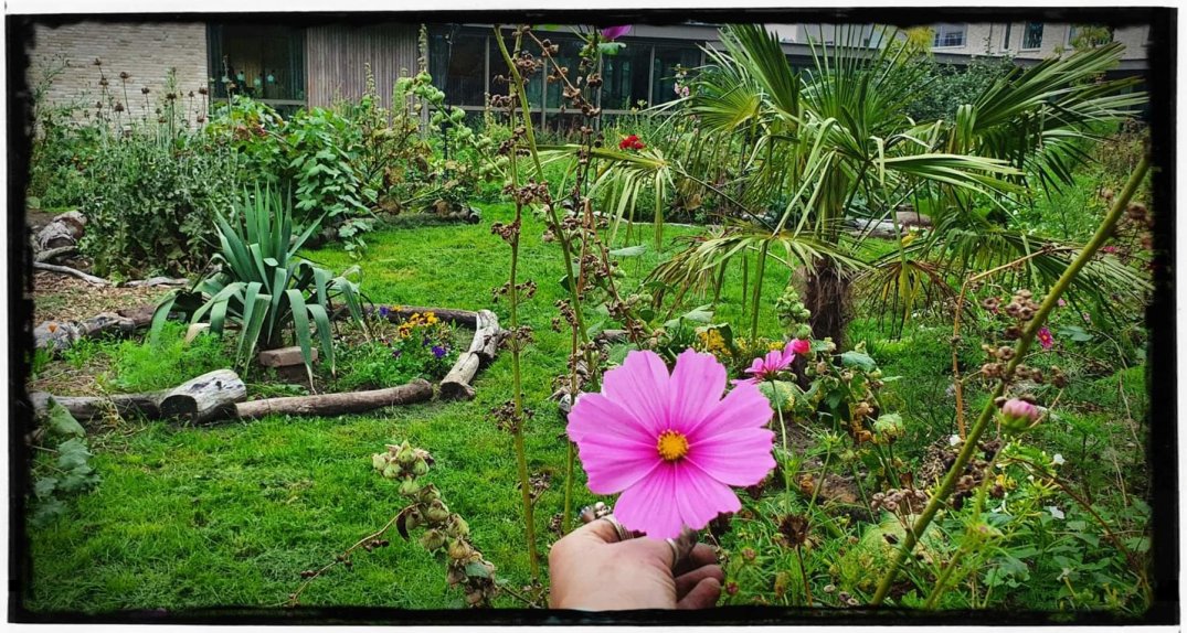 Leonies Paradijstuin