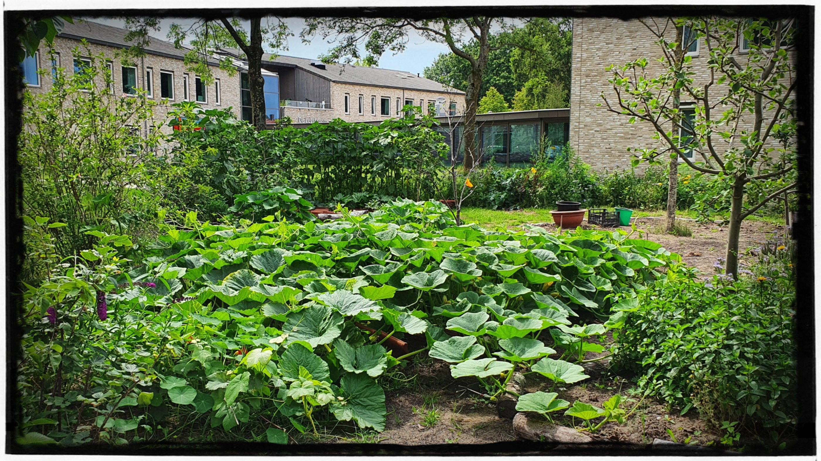 Leonies Paradijstuin