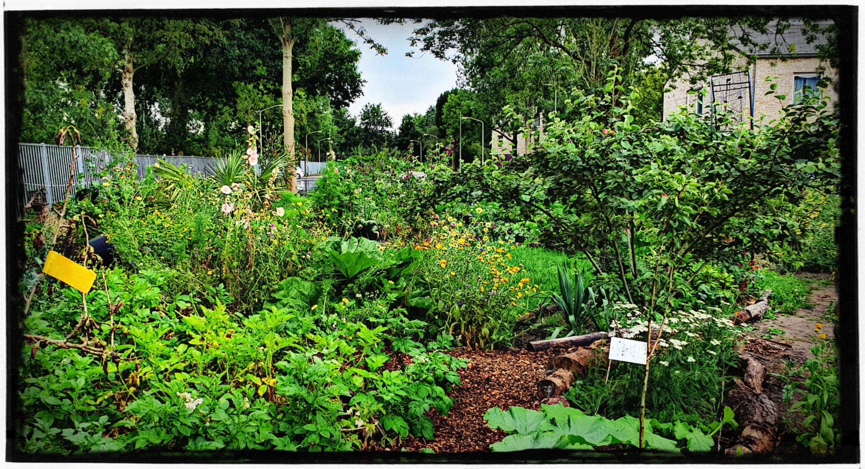 Leonies Paradijstuin