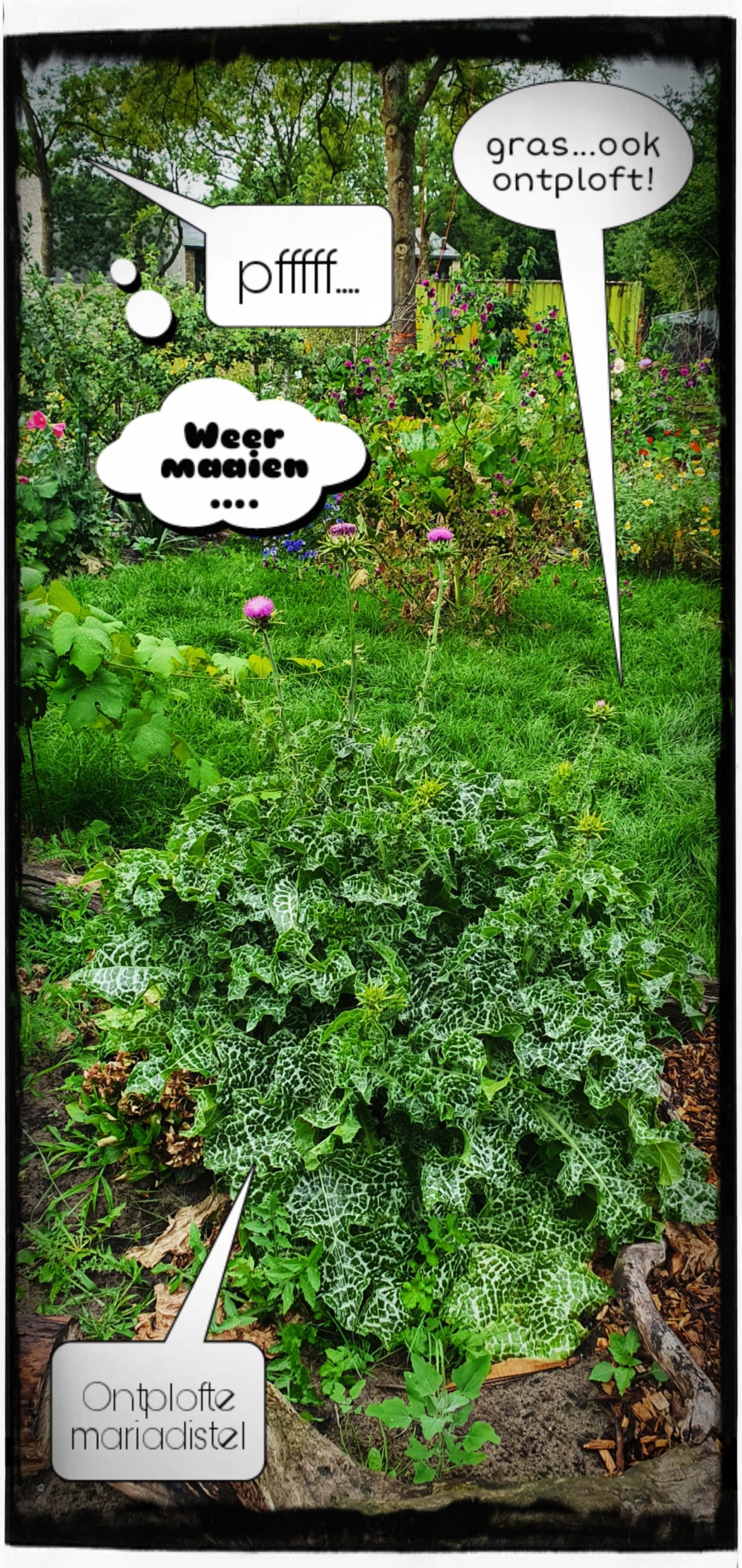 Leonies Paradijstuin