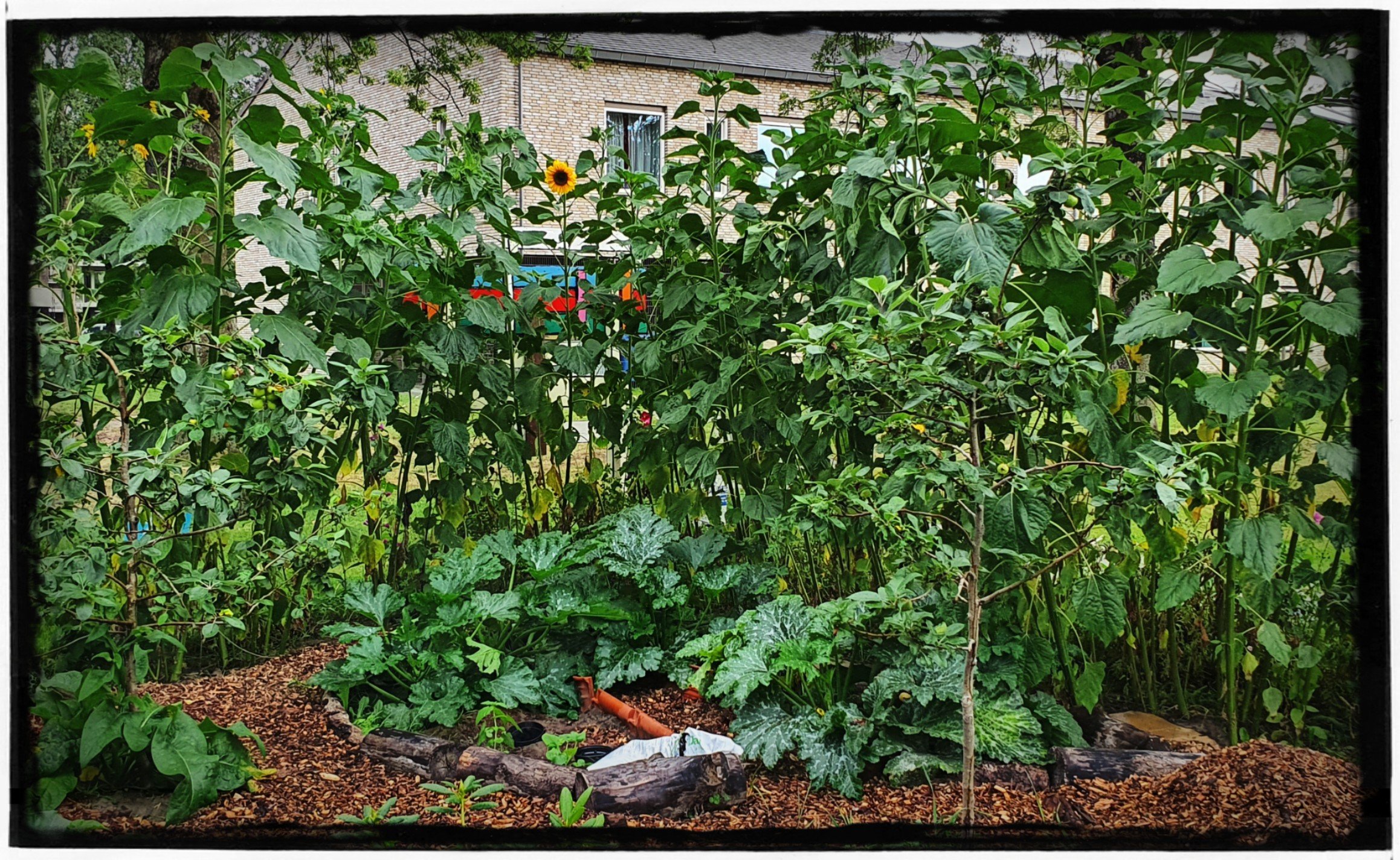 Leonies Paradijstuin