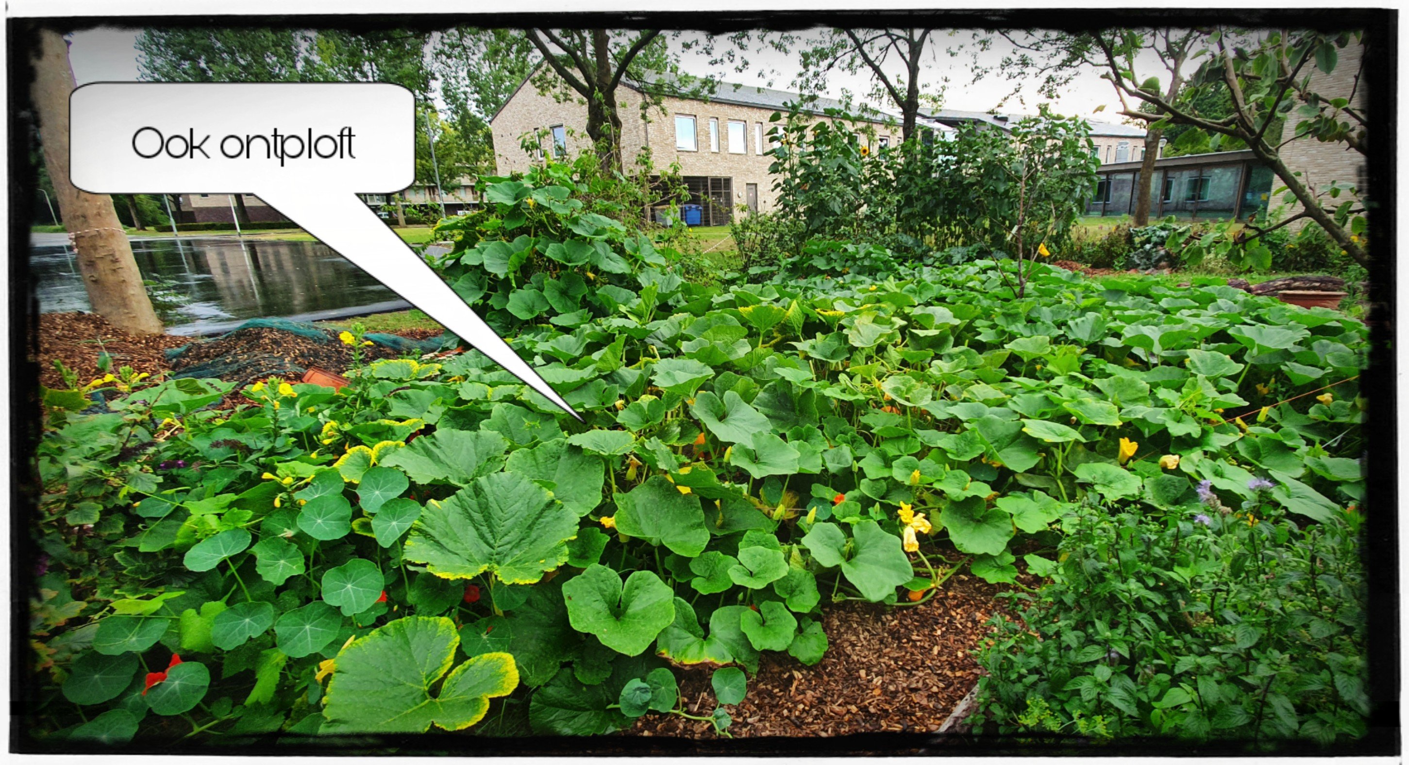 Leonies Paradijstuin