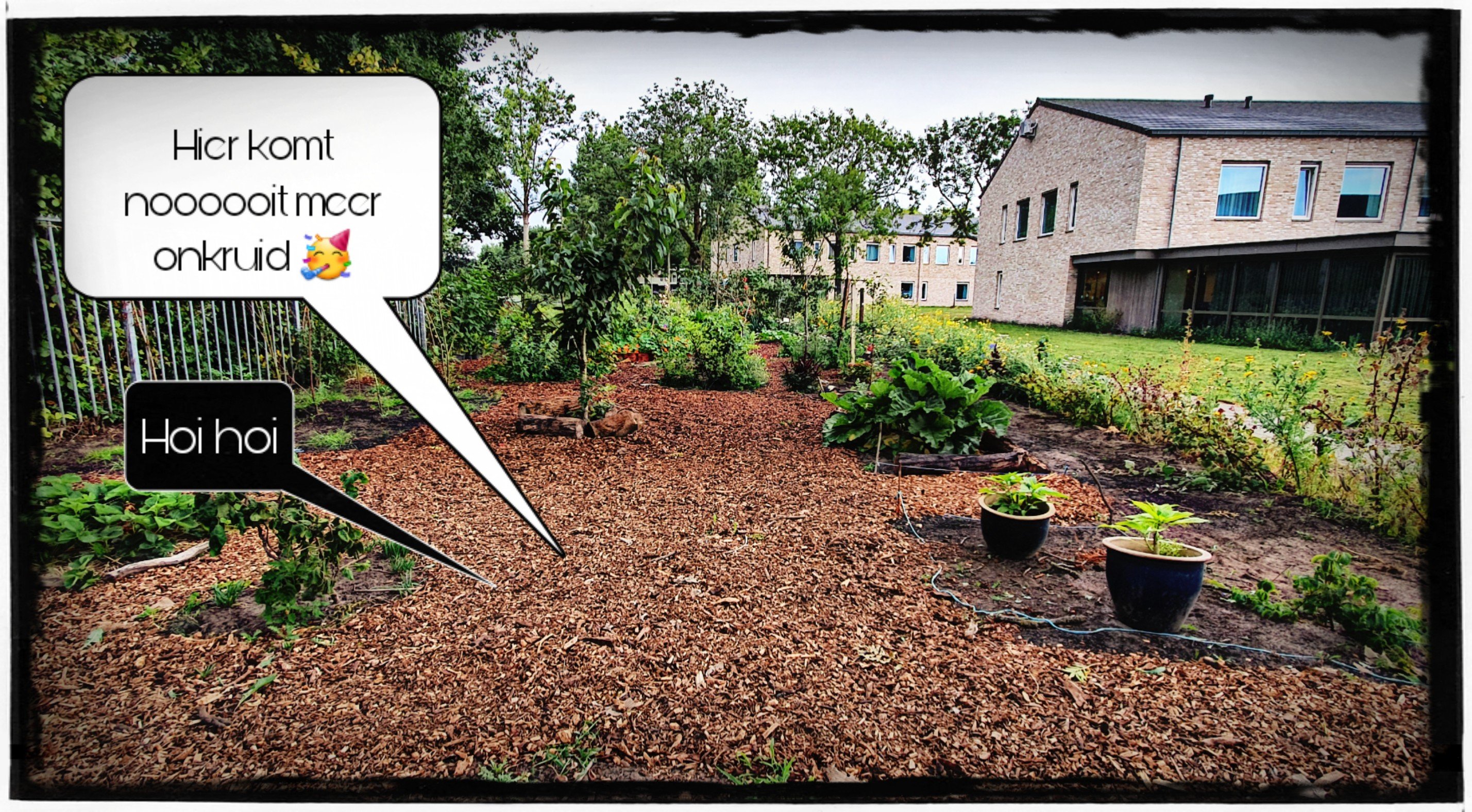 Leonies Paradijstuin