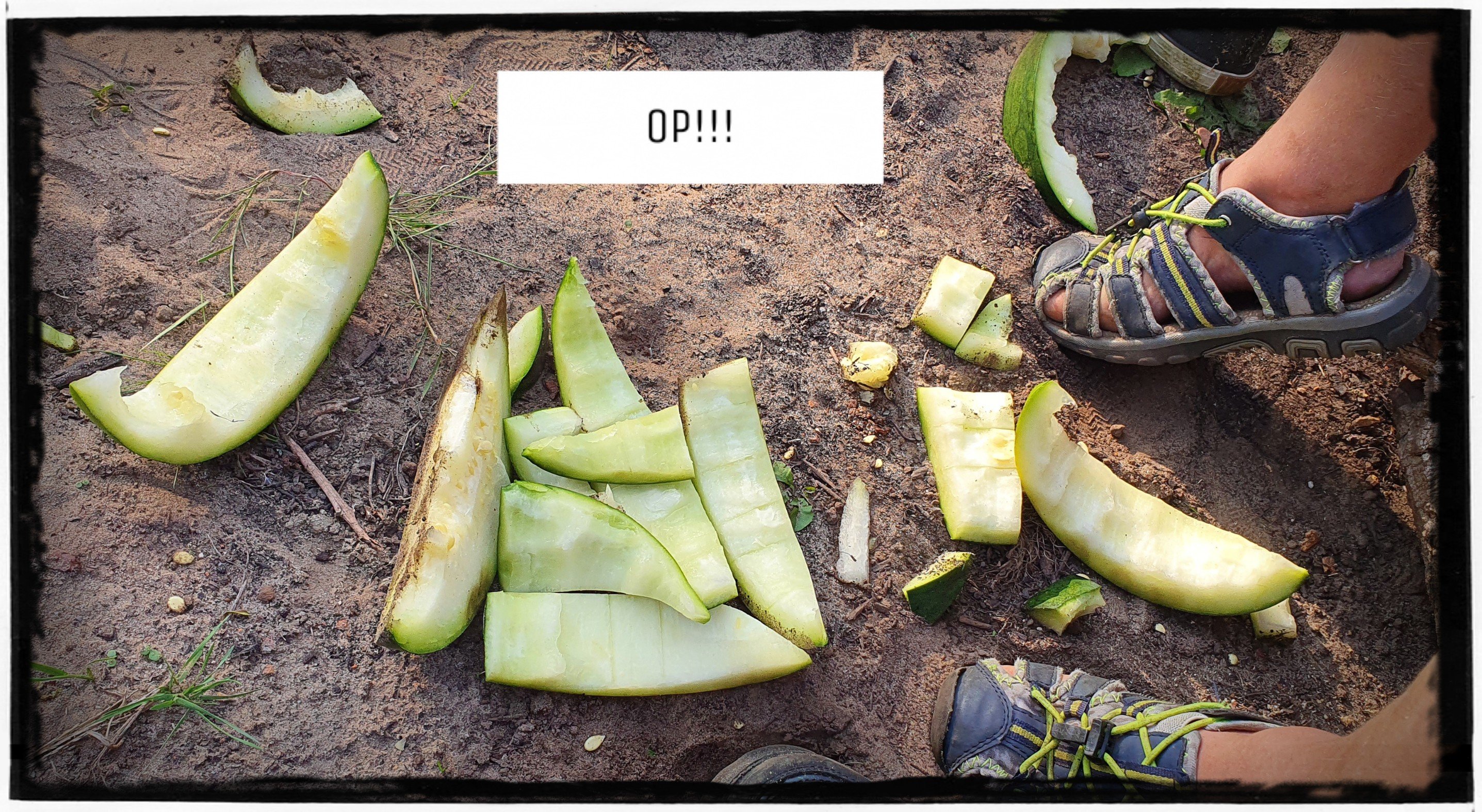 Leonies Paradijstuin